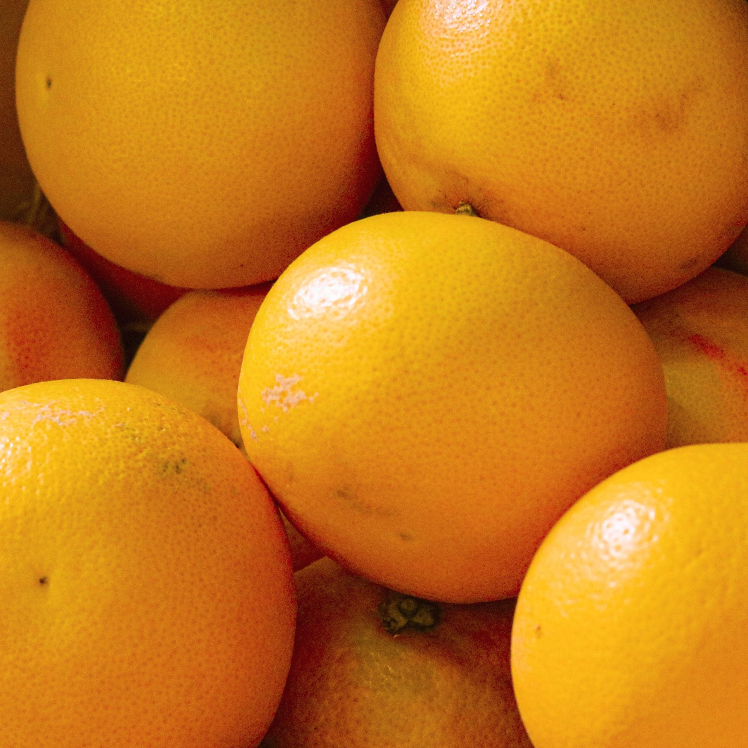 Searching for the answer to citrus greening