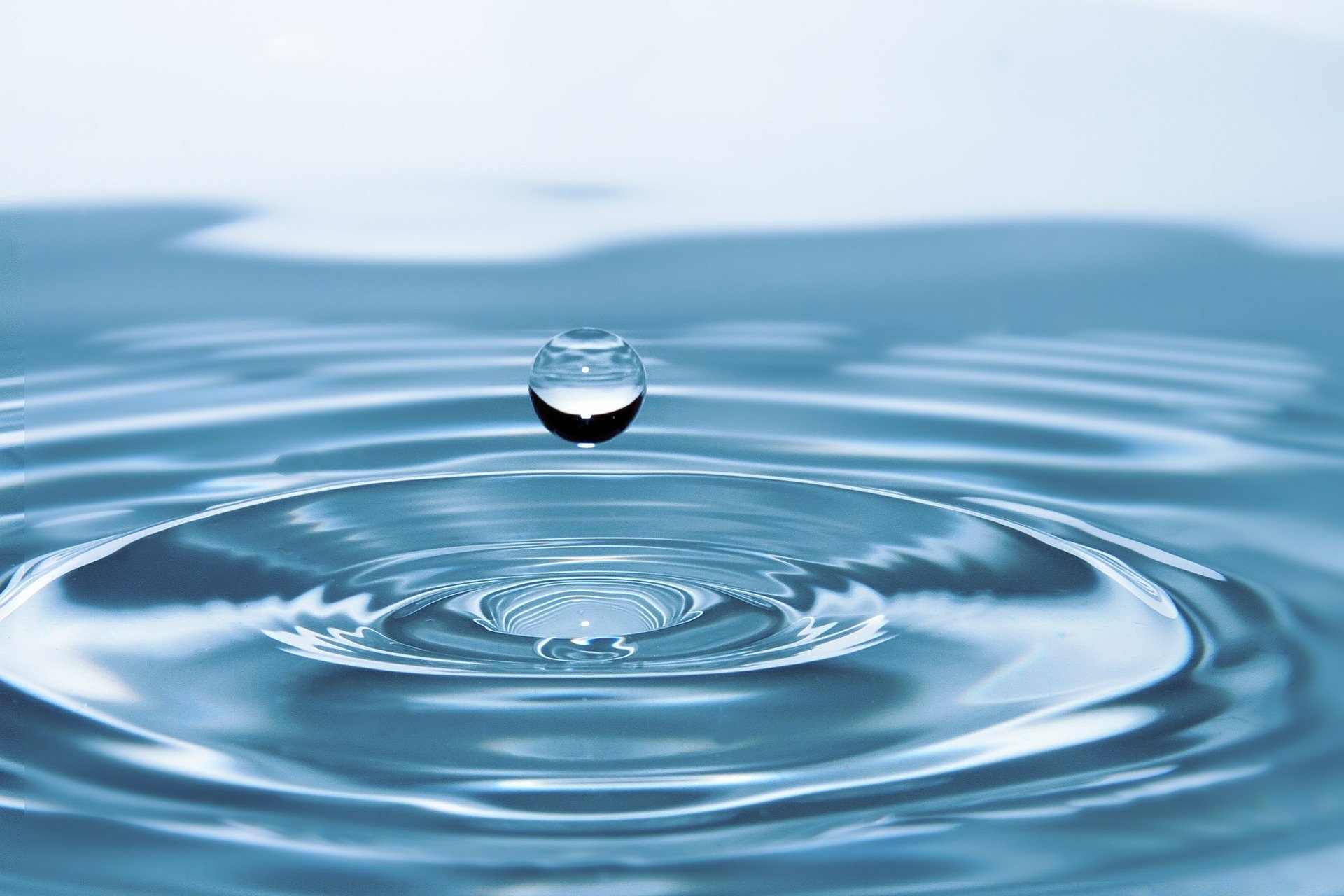 New Water Law Will Tighten BMP Rules in Florida