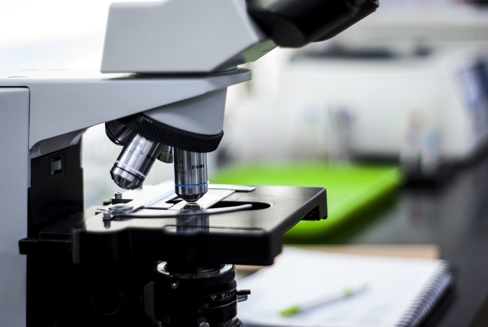 Researchers Try to Crack Greening With Comparative Genomics
