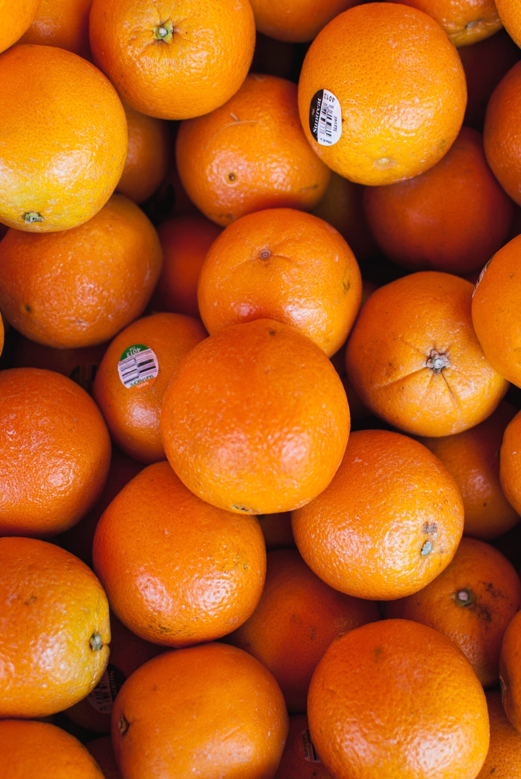 Florida Citrus Packers: South Africa Imports Pose Risk