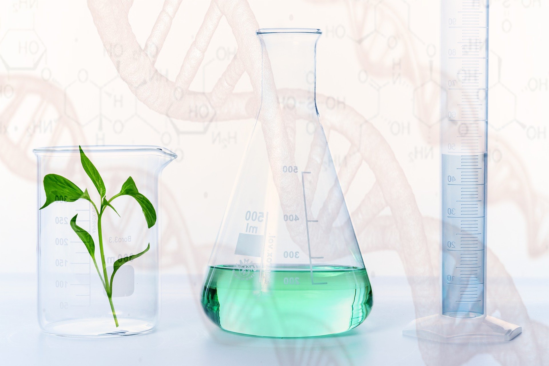 Researchers Identify Another Gene That Helps Plant Sense Heat