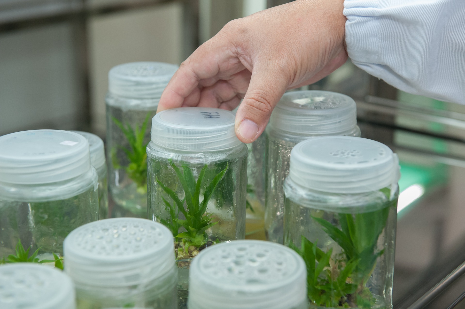 Science and Innovation Opportunities in Agriculture