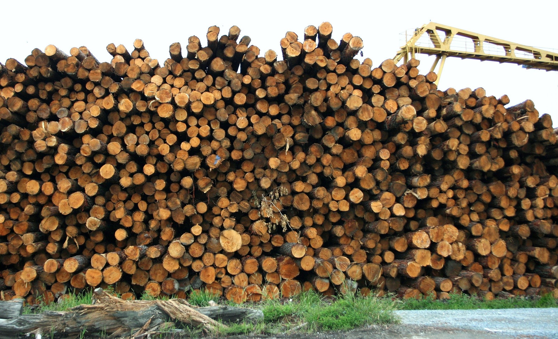 Florida Panhandle Timber Industry Three Years After Hurricane Michael