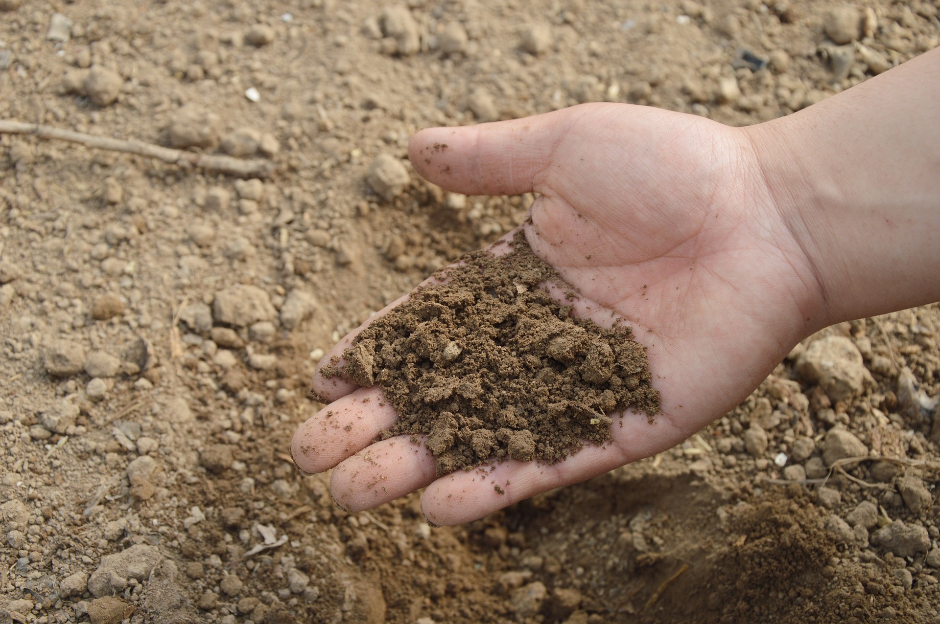 Growing Evidence That Proper Pasture Management is Beneficial for Soil and Ecosystem Carbon Sequestration