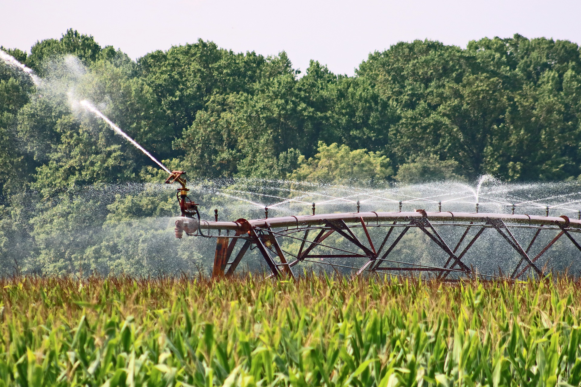Farmers & ranchers work to manage their use of natural resources