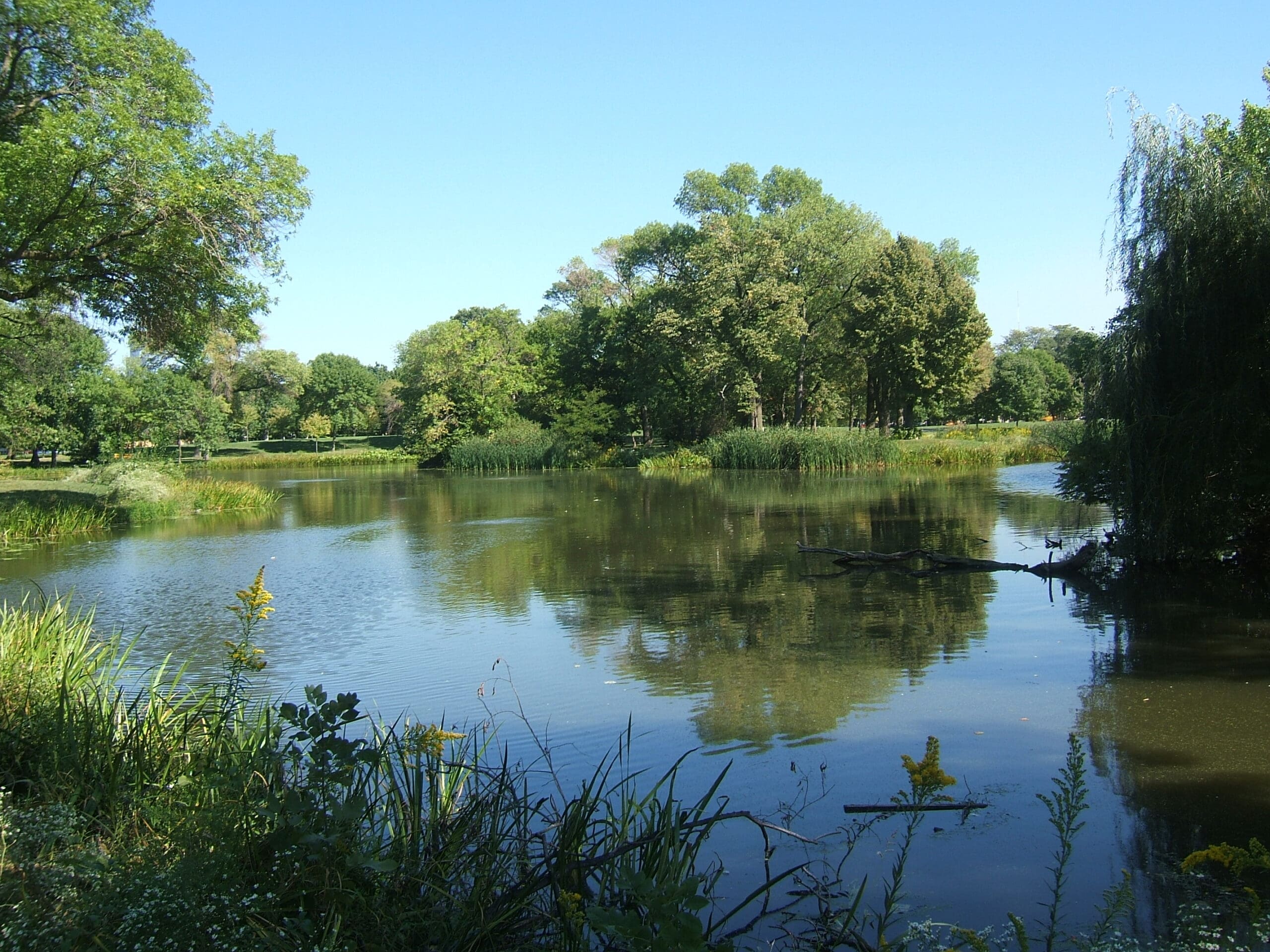 Stormwater Ponds do Little to Prevent Pollution