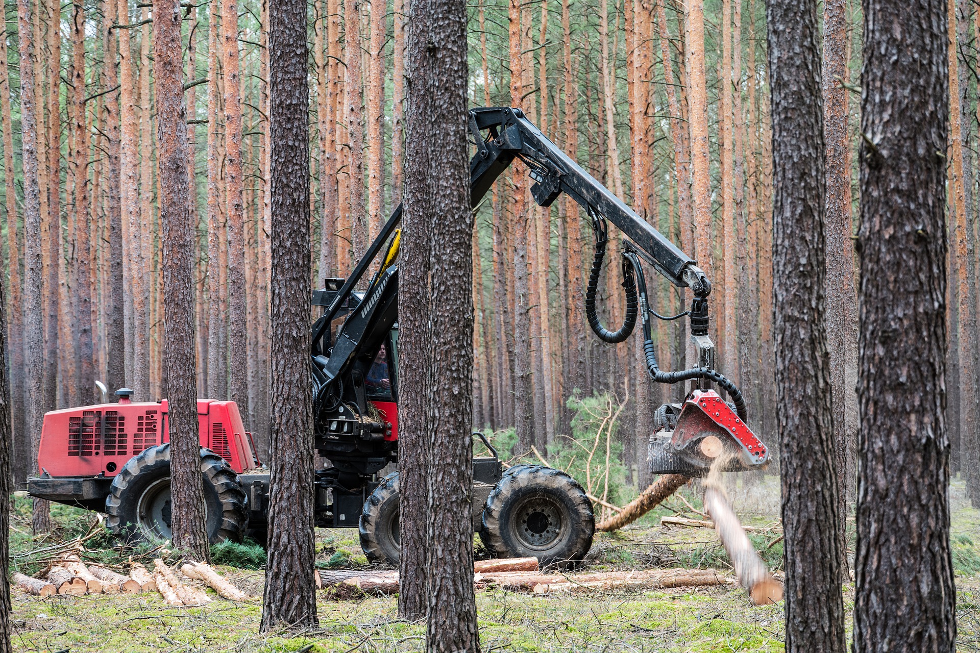 Skilled Labor Shortage in the Forestry Industry
