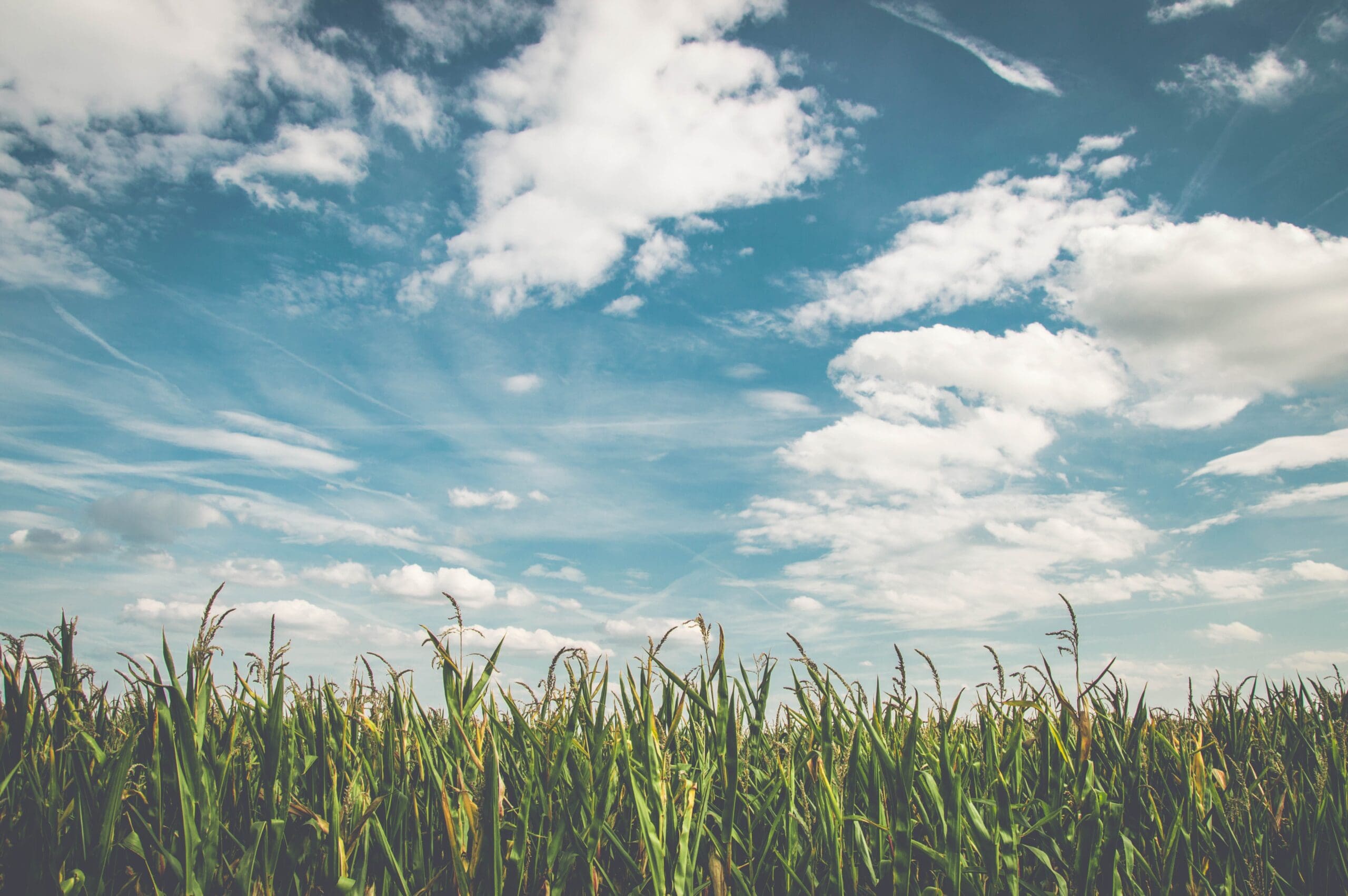 Greenhouse Gas Emissions Being Lowered on American Farms