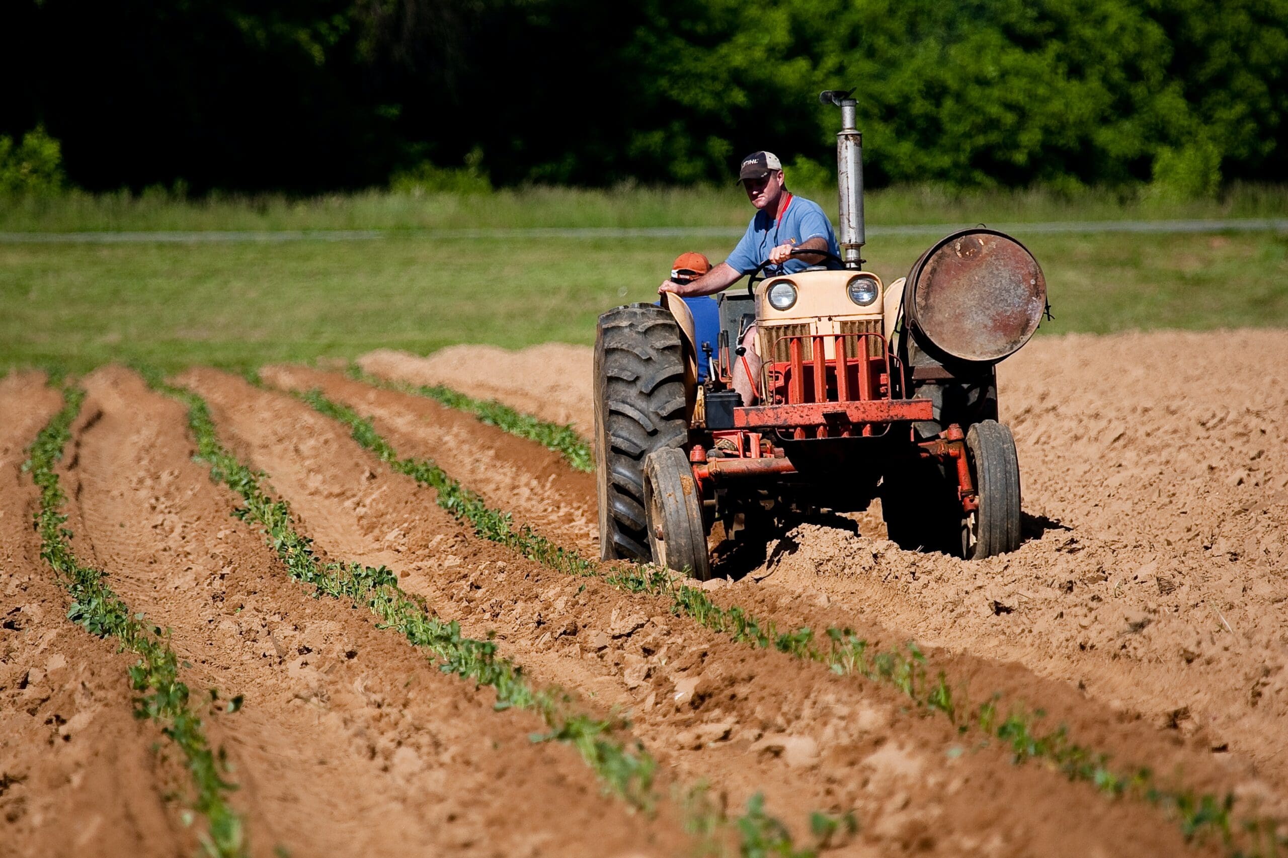 USDA Program for Underserved, Minority Farmers