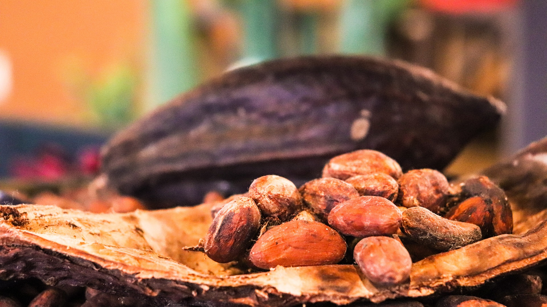 Cocoa and Chocolate Market Growth