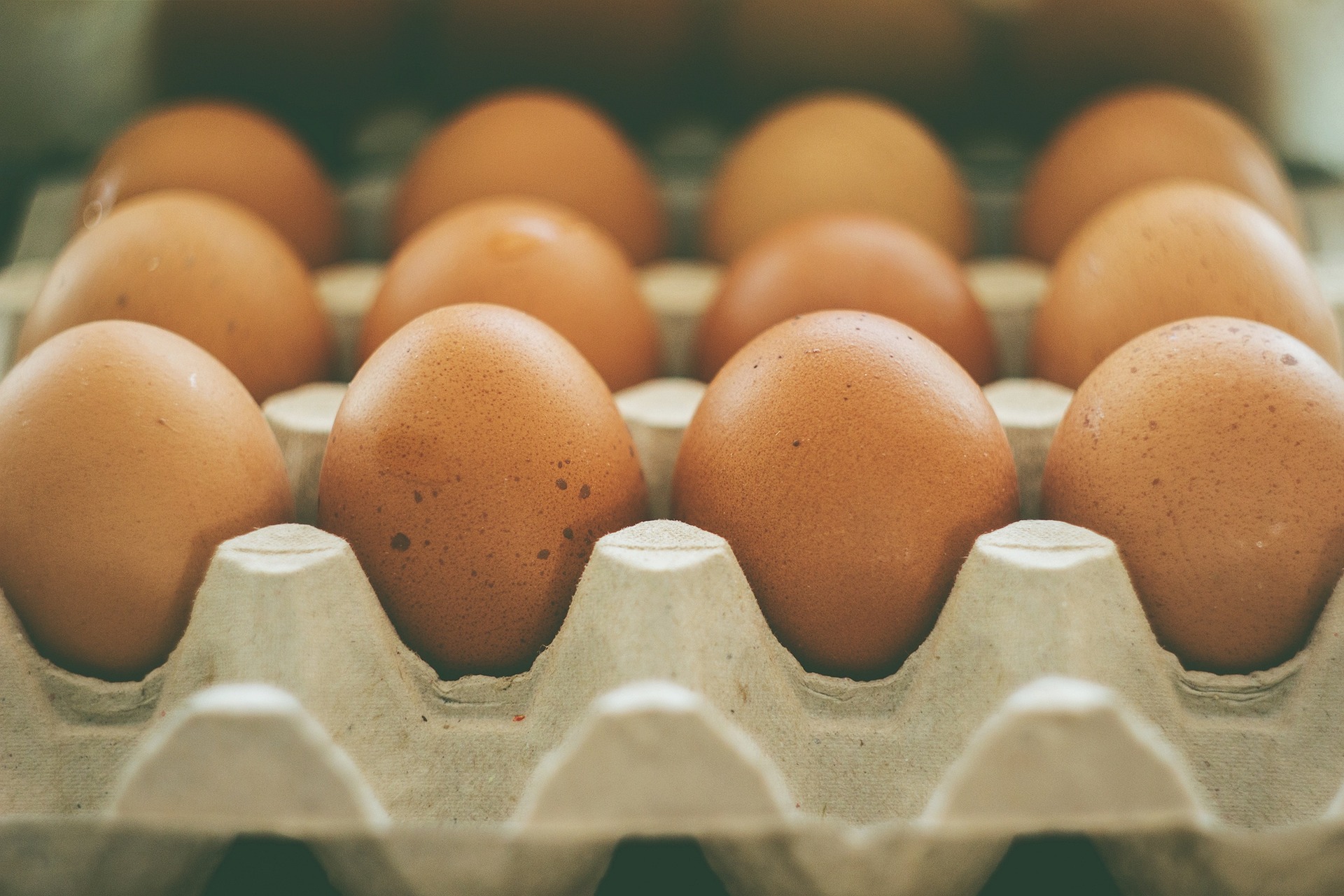 Egg Price Doubled Since 2021