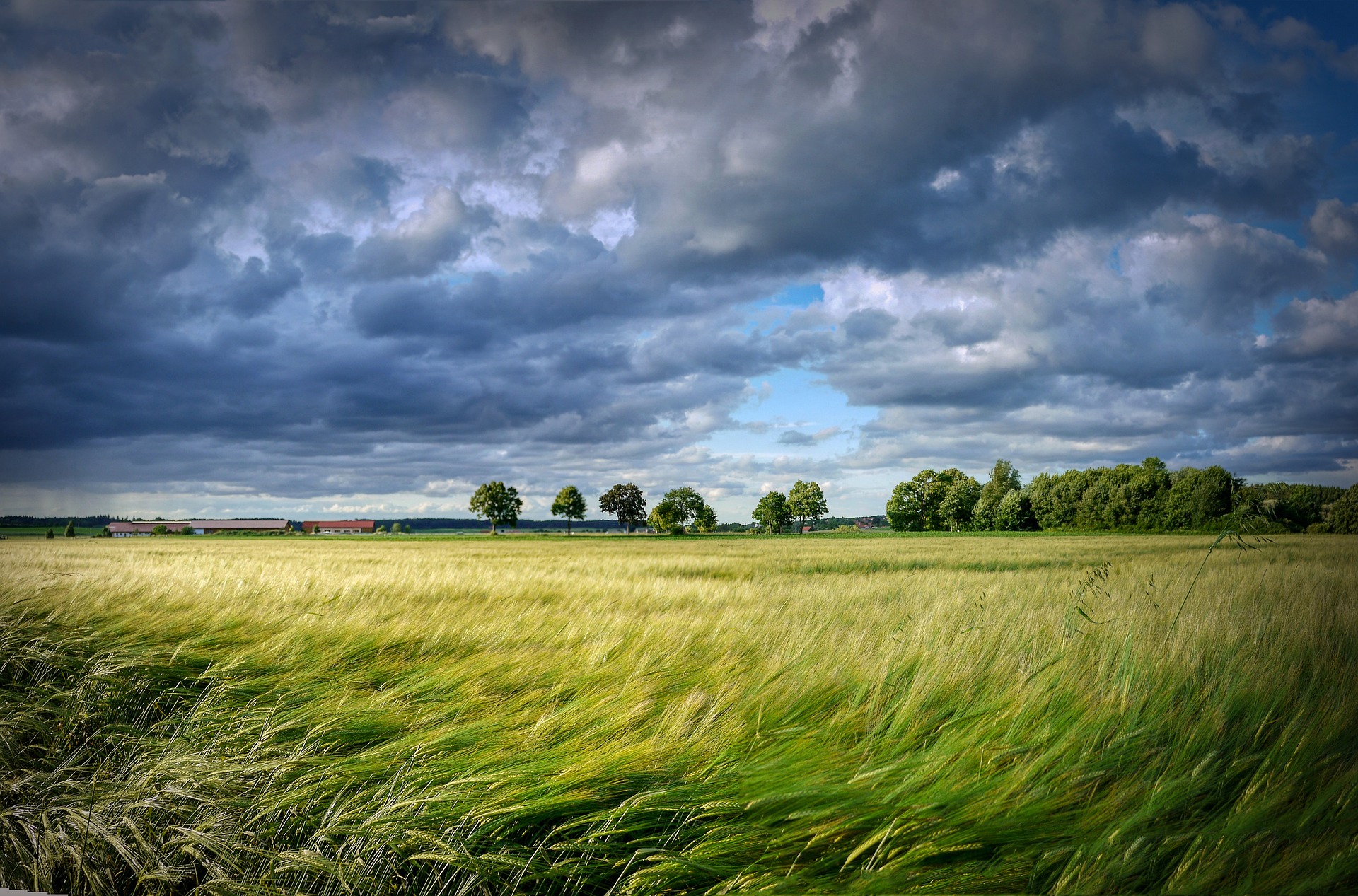 Protecting Land with Conservation Easements