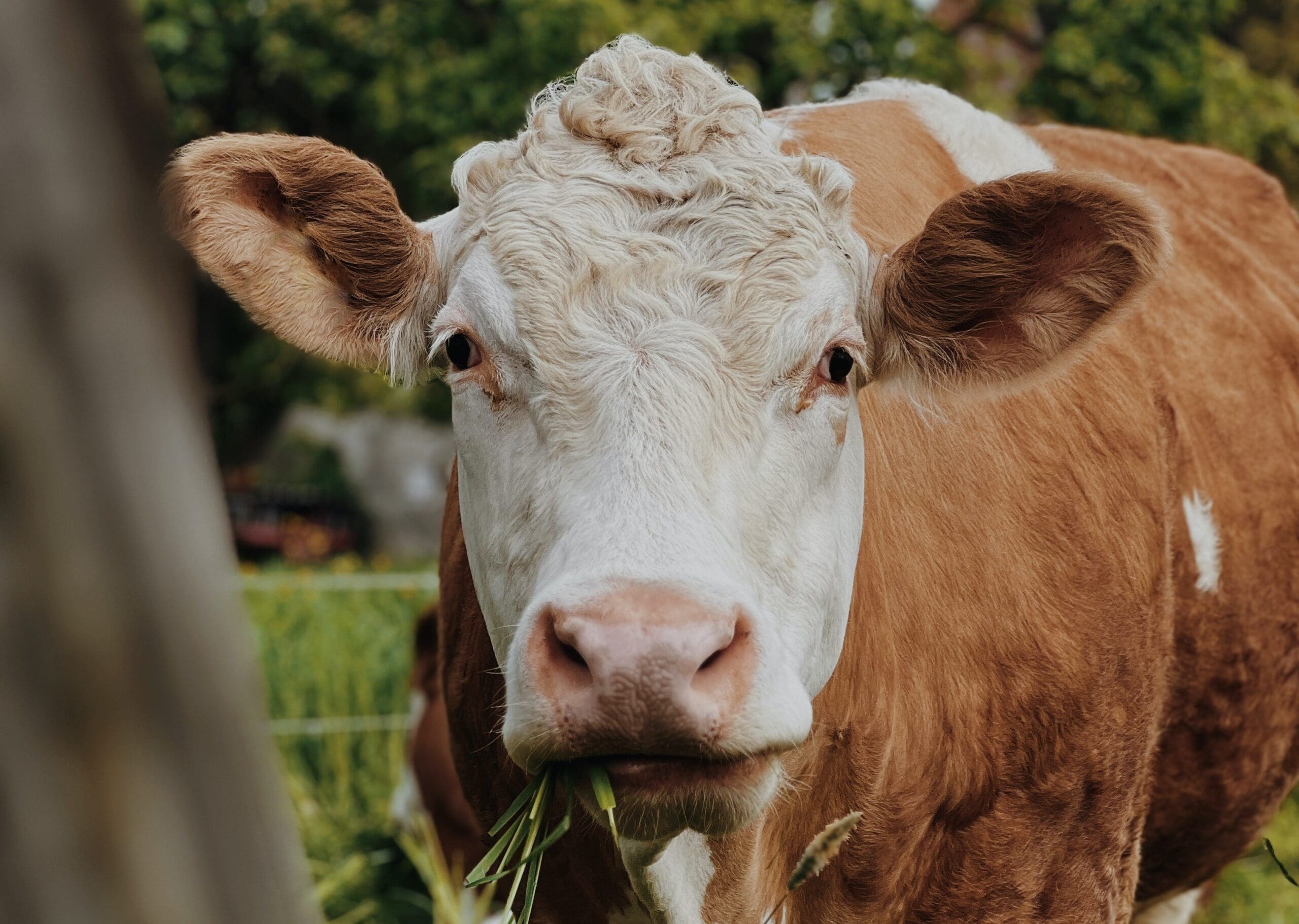Pairing Up Landowners and Ranchers