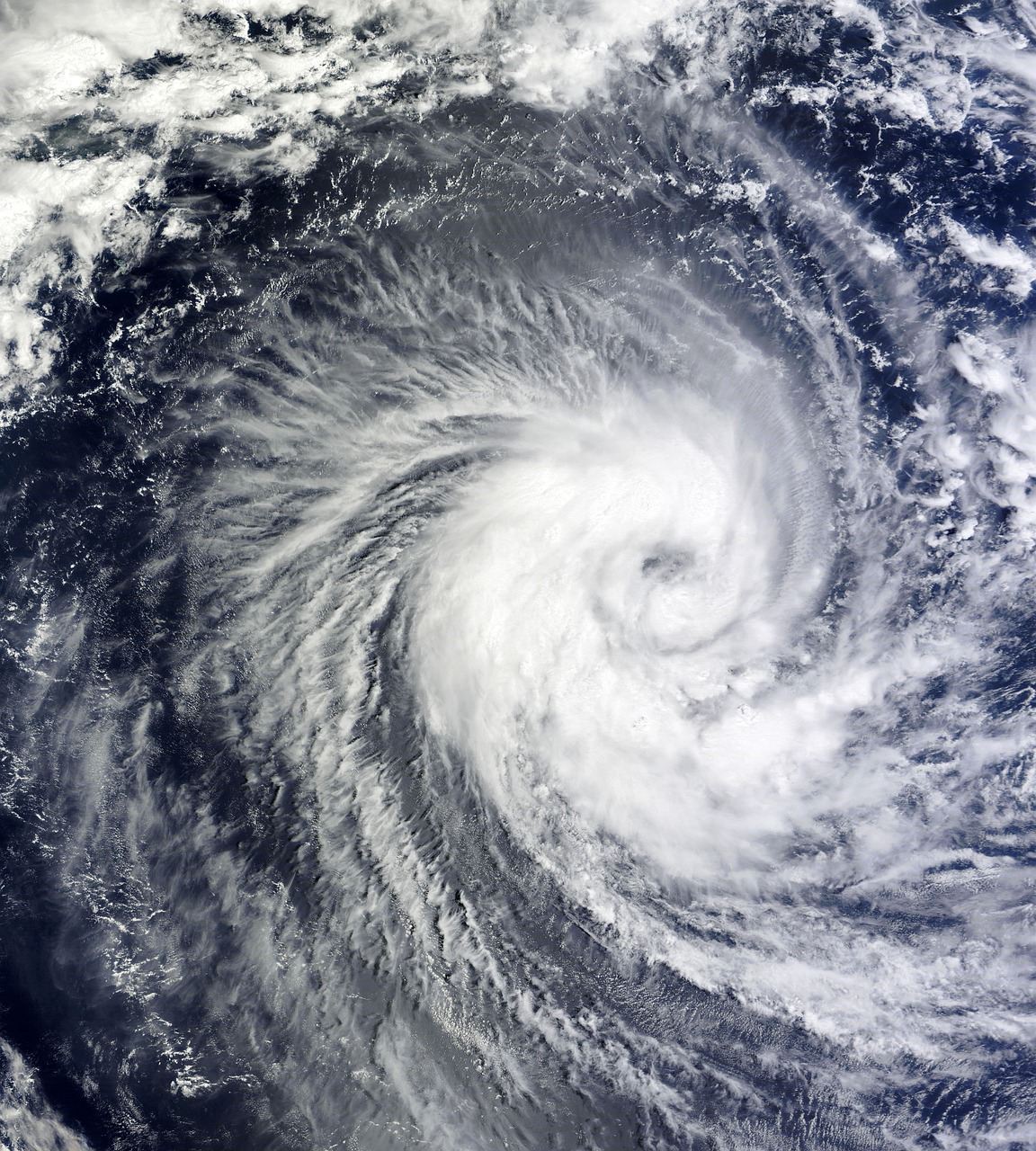Florida Bracing as Hurricane Idalia Strengthens in the Gulf