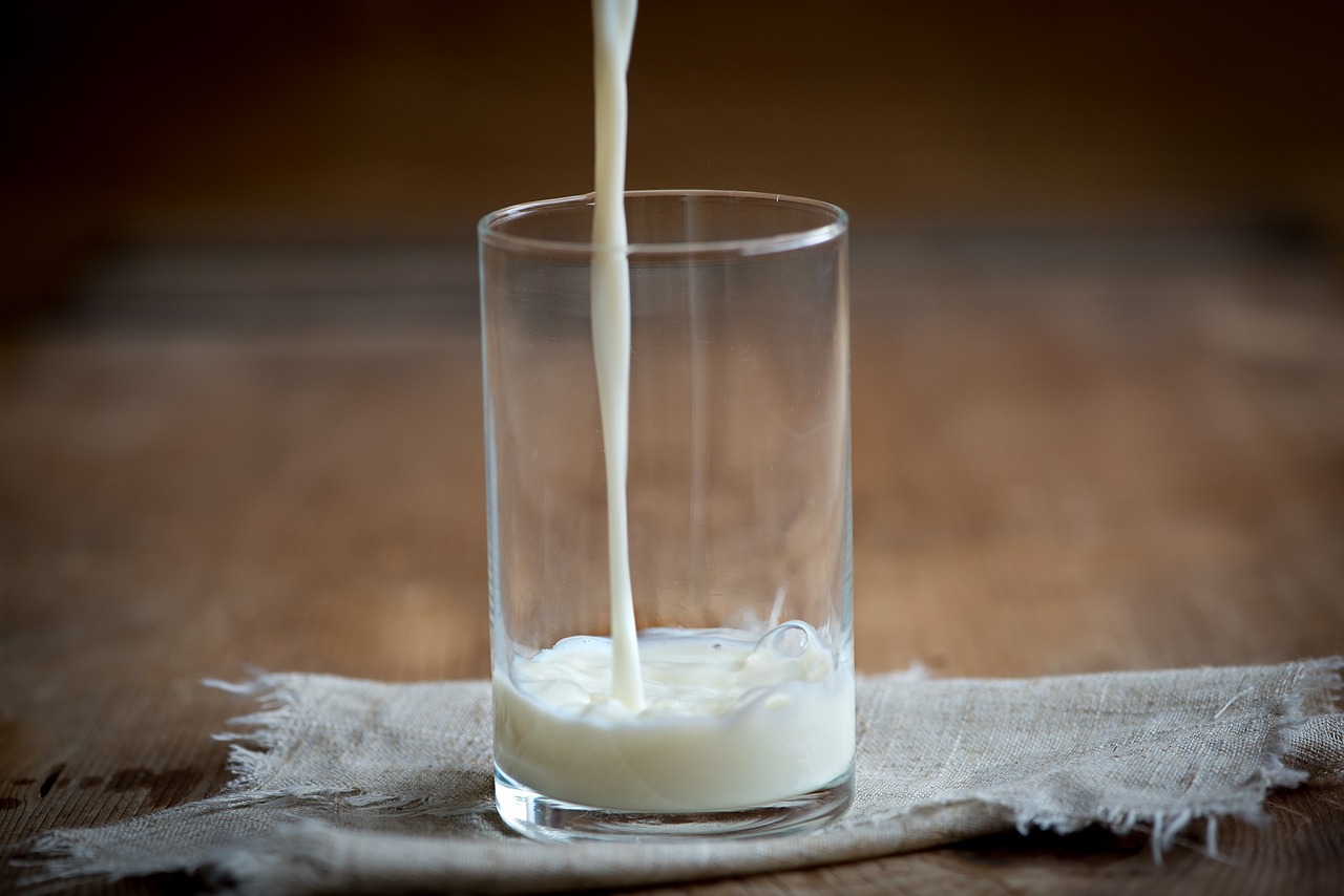 Whole Milk for Healthy Kids Bill